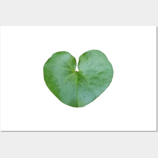 Wild Ginger Leaf Heart Shape Posters and Art